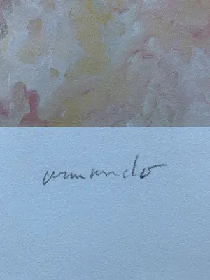 Armando - "Bloem", Giclée , E.A kopen? Bied vanaf 200!