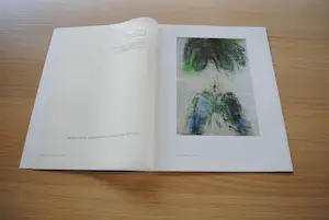 Lei Molin - Bijzondere uitgave met litho kopen? Bied vanaf 35!