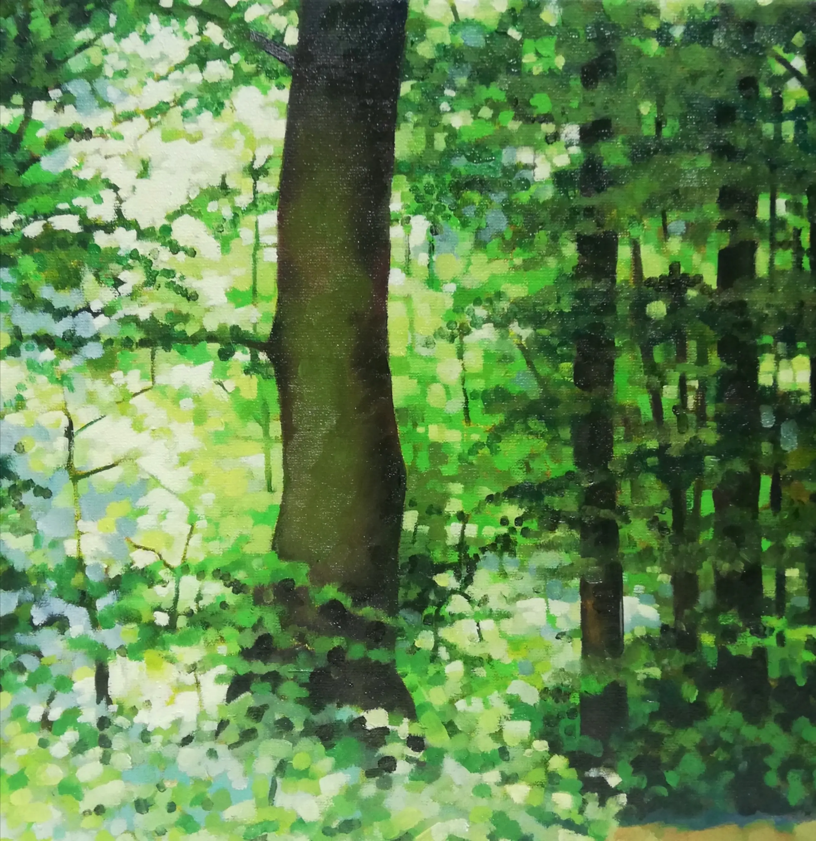 Willem Visser In Het Bos voorjaar Kopen Bied Vanaf 90 