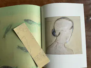 Jasper Krabbé - Zeefdruk en boek in cassette kopen? Bied vanaf 325!