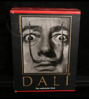 Salvador Dali - Das malerische Werk. Complete ouvre in 2 cassettes. kopen? Bied vanaf 40!