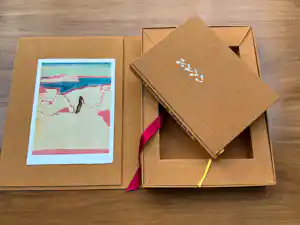 Jasper Krabbé - Zeefdruk en boek in cassette kopen? Bied vanaf 325!