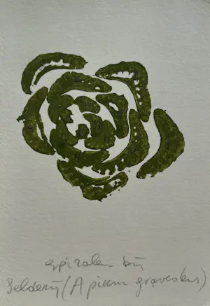 Sjoerd Buisman - gemengde techniek op papier | 'Spiralen bij selderij' | 1983 (UNIEK WERK) kopen? Bied vanaf 225!