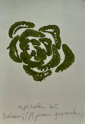 Sjoerd Buisman - gemengde techniek op papier | 'Spiralen bij selderij' | 1983 (UNIEK WERK) kopen? Bied vanaf 225!