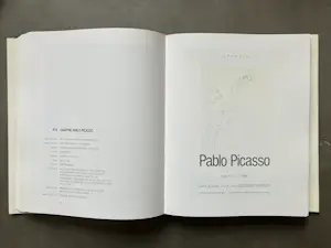 Pablo Picasso - Catalogue Raisonné - Picasso in his posters - 4 delen kopen? Bied vanaf 250!