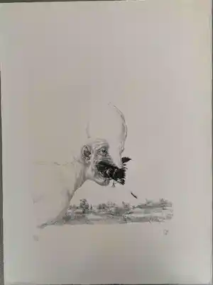 Peter Vos - Litho - Schiereiland Melancholie verkocht voor € 70!