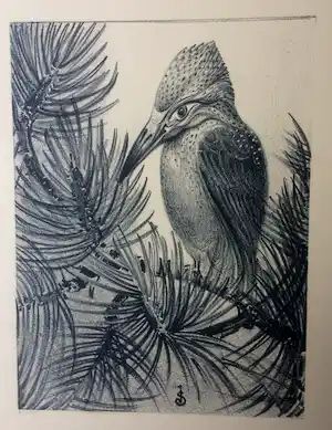 Jan Schonk - Litho "IJsvogel" 1929 verkocht voor € 70!