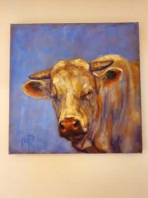 Mieke Robben - Stier verkocht voor € 200!