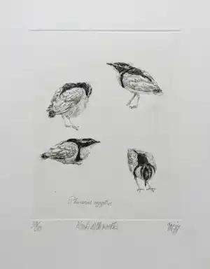 Peter Vos - ‘Krokodillewachter’ - ets - oplage 35 verkocht voor € 195!