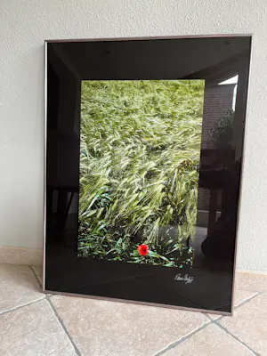 Paul Huf - Poppy (1988, gesigneerd) kopen? Bied vanaf 85!