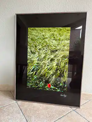 Paul Huf - Poppy (1988, gesigneerd) kopen? Bied vanaf 85!