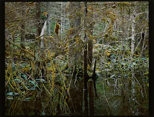Robert Glenn Ketchum - Kadashaw II (Blackwater) - 1986 - Auflage von 100 - signiert kopen? Bied vanaf 300!