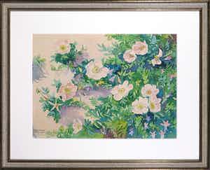 Ad Blok van der Velden - Aquarel, Duinroosjes - Ingelijst verkocht voor € 300!