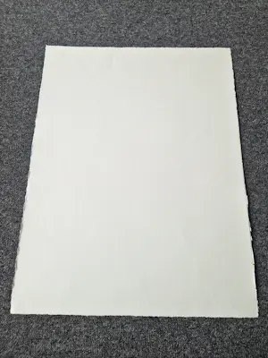 Jörg Remé - Originele 1979 kleuren Lithografie "dame en havik" - beperkte oplage (100) kopen? Bied vanaf 38!