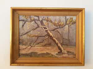 Auguste J.H. Van Steenacker - Besneeuwde boom verkocht voor € 40!