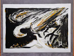 Gerbrand Volger - Grote kleuren lithografie "duikvlucht" - beperkte oplage (60) - gesigneerd kopen? Bied vanaf 37!