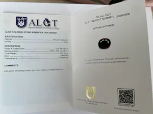 18 Kt witgouden oorbellen met rode robijnen ca 4,00 crt  en diamanten kopen? Bied vanaf 1400!