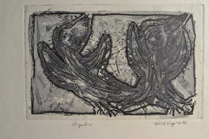 Koos van der Sluys - ets, toekans versie in grijstinten kopen? Bied vanaf 30!