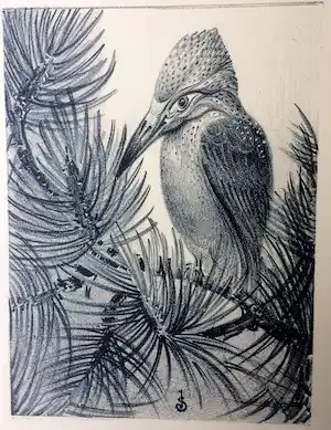Jan Schonk - Lithografie IJsvogel 1929 verkocht voor € 45!
