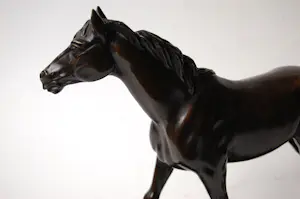 Irénée Rochard - Paard in draf kopen? Bied vanaf 1750!