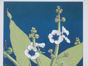 Jan Voerman (jr.) - Bloeiende plant - Kleurenlitho kopen? Bied vanaf 75!