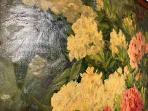 Léonie Mottart-van Marcke - Chrysanthèmes kopen? Bied vanaf 949!