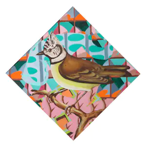 Christie van der Haak - Acryl op doek, Zo vrij als een vogel kopen? Bied vanaf 80!