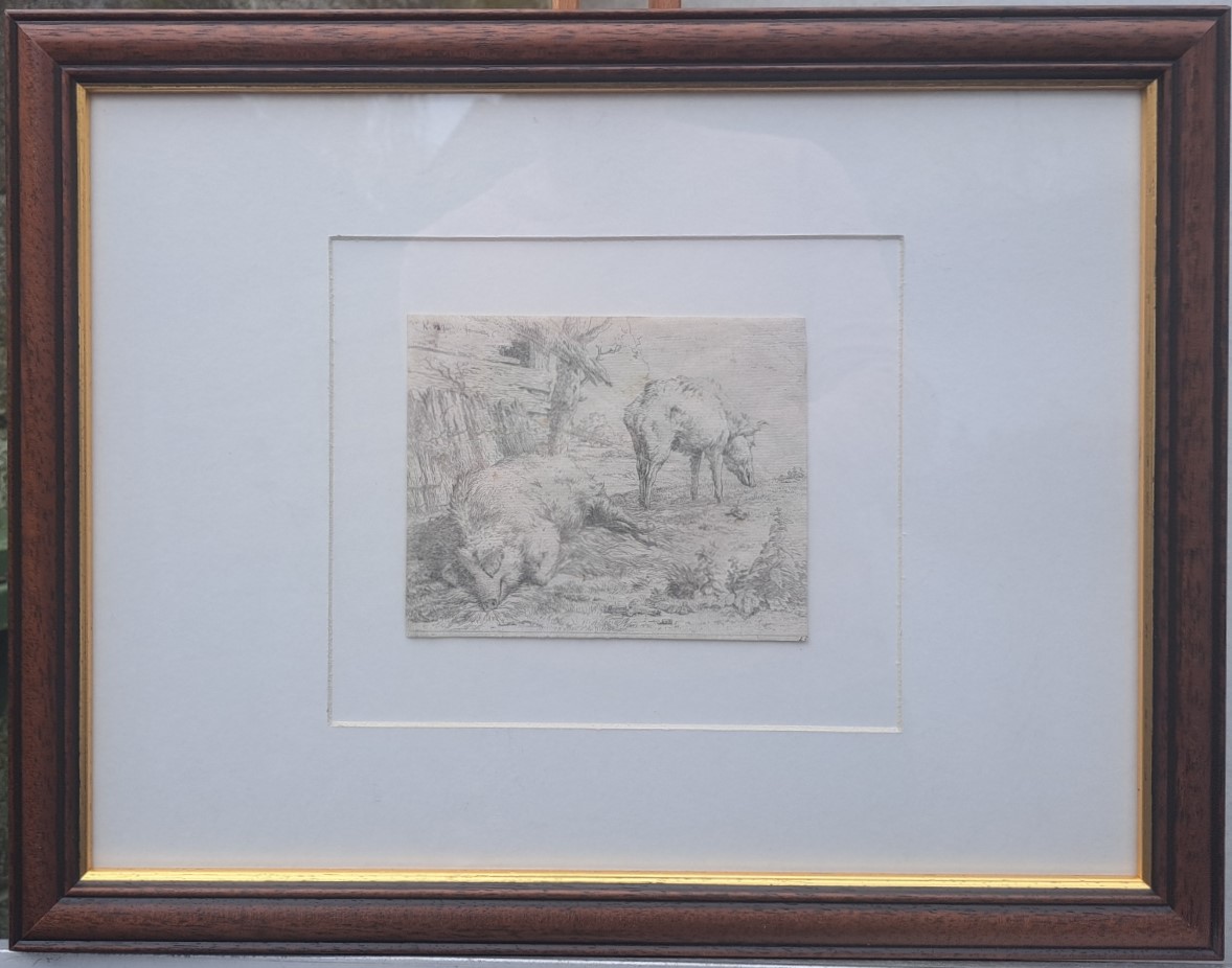 Karel Dujardin - twee varkens kopen? Bied vanaf 130!