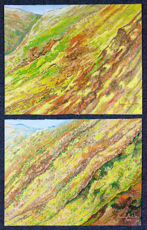 Janus Nuiten - Olieverf op doek, Twee landschappen verkocht voor € 100!