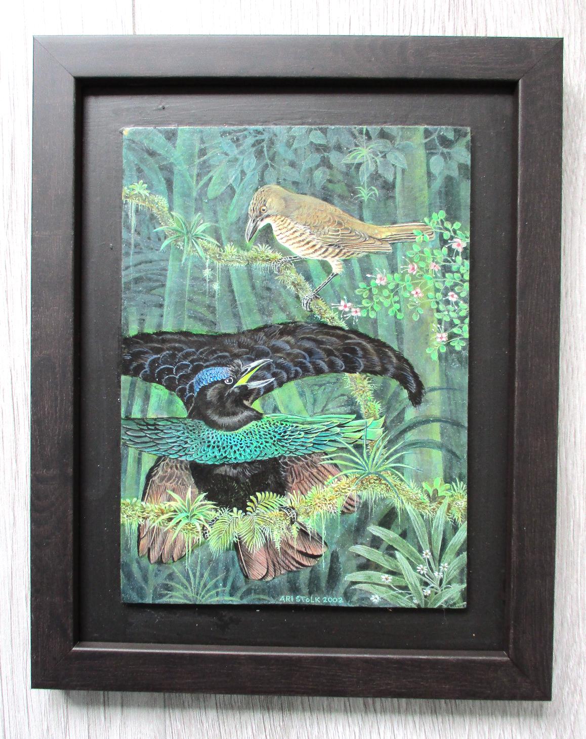 Ari Stolk - Ari Stolk - Kraagparadijsvogel - Lophornia Superba ♀ + ♂ kopen? Bied vanaf 195!