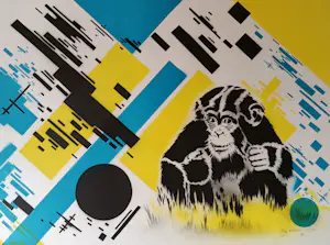 Hugo Kaagman - Chimptoys kopen? Bied vanaf 80!