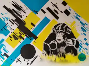 Hugo Kaagman - Chimptoys kopen? Bied vanaf 80!