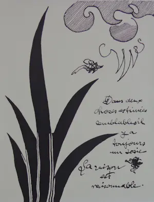 Georges Braque - LOT VAN 2 STUKS / ZW-W LITHO / 60x45cm kopen? Bied vanaf 20!