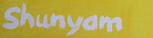 Shunyam - Acryl op doek, Hiding - Ingelijst kopen? Bied vanaf 100!