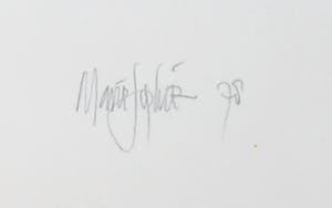 Niet of onleesbaar gesigneerd - Litho, Slaper - Ingelijst kopen? Bied vanaf 1!