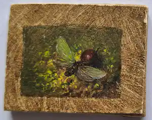 Hans van Wijk - Vlinder verkocht voor € 50!