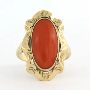 14k geel gouden ring bezet met koraal - 4.9 gram - ringmaat 17.5 (55) kopen? Bied vanaf 375!