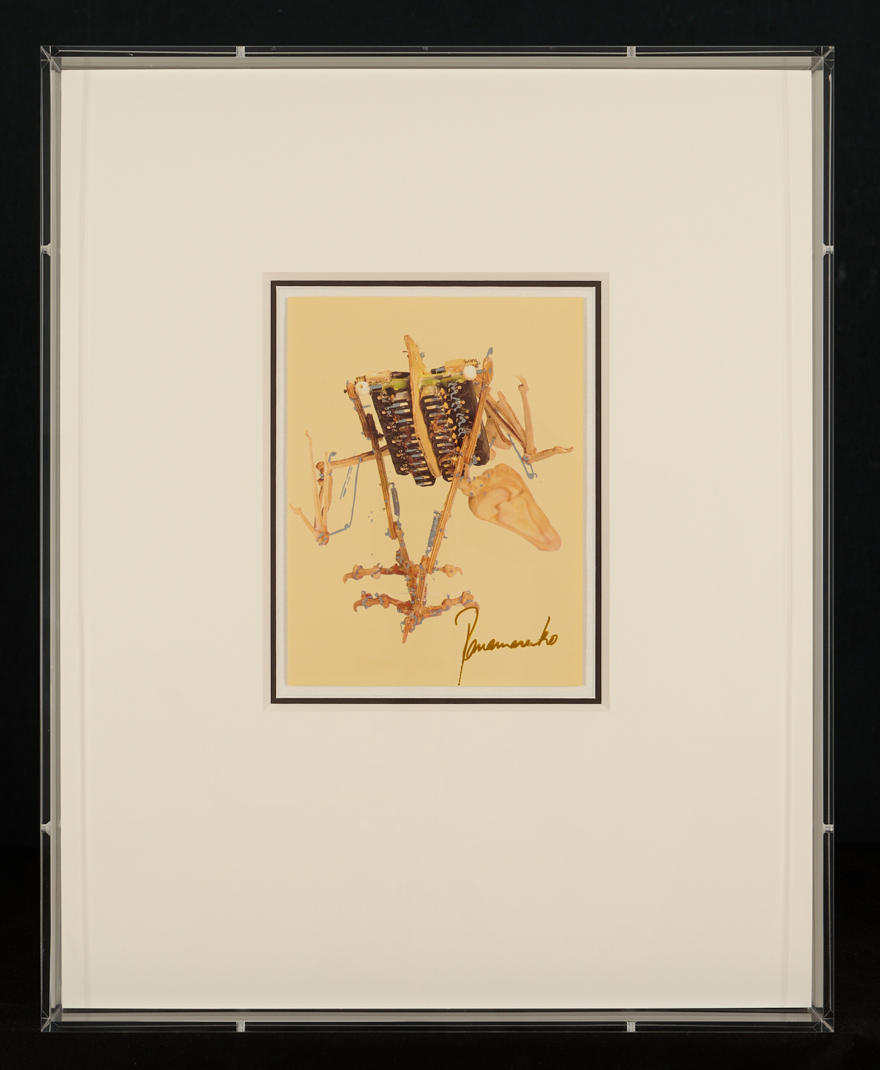 Panamarenko - Gesigneerd "Archaeopterix," - Unieke Vogel - 1993 - in Swiss hand-made case kopen? Bied vanaf 890!