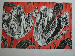 JAS - Red Parrot kopen? Bied vanaf 98!