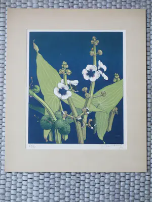 Jan Voerman (jr.) - Bloeiende plant - Kleurenlitho kopen? Bied vanaf 75!