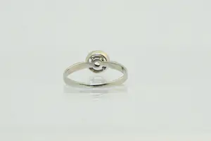 20- Elegant 14K wit gouden solitair ring briljant geslepen (H/si) 0.20) diamant kopen? Bied vanaf 210!