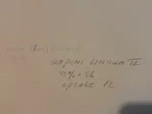 Lon Buttstedt - Kleurenlitho, Serpens Lingua II, Oplage 5/12 kopen? Bied vanaf 20!