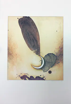 Jurjen Ravenhorst - & Mivrolav Potvic - Litho, Lot van 9 surrealistische voorstellingen kopen? Bied vanaf 100!