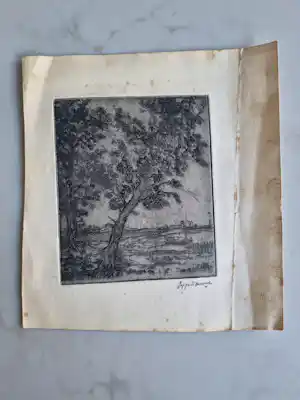 Poppe Damave - Landschap kopen? Bied vanaf 20!