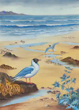 John Baxendale - Blackheaded gull with sea holly, gemengde techniek op papier verkocht voor € 75!