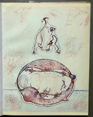 Max Ernst - Homage to Max Ernst kopen? Bied vanaf 30!