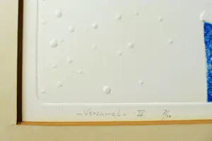Joop Leijten - Verzamel 11 kopen? Bied vanaf 40!