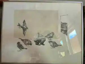 Peter Vos - Oude man met mussen verkocht voor € 75!