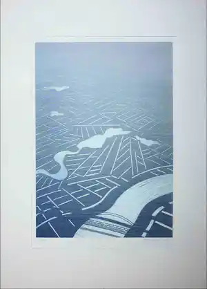 Jeroen Henneman - Litho, Nederlands landschap vanuit vogelvluchtperspectief verkocht voor € 100!
