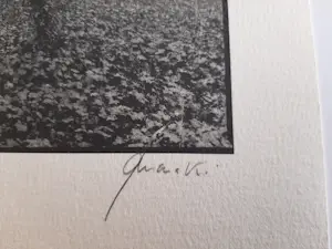 Ralph Janowski - zonder titel kopen? Bied vanaf 20!